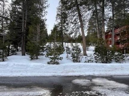 33839 Hawkweed Way, Kirkwood, CA 95646 Photo