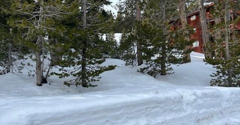 33839 Hawkweed Way, Kirkwood, CA 95646 Photo