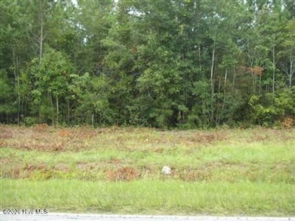 1055 Ferry Landing Drive SW, Supply, NC 28462