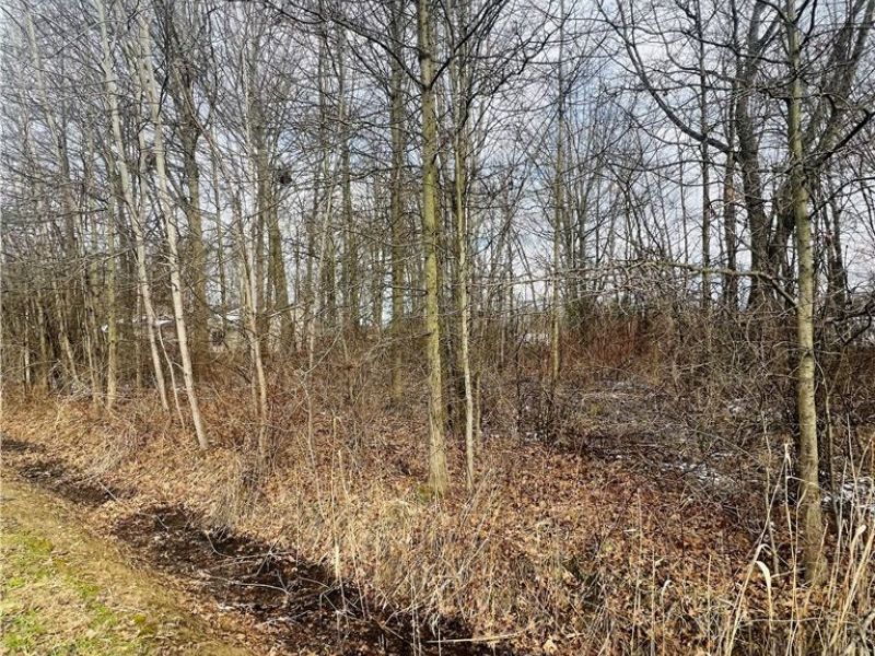 Lot 115 Breezewood Lane, Orwell, OH 44076 Photo 1