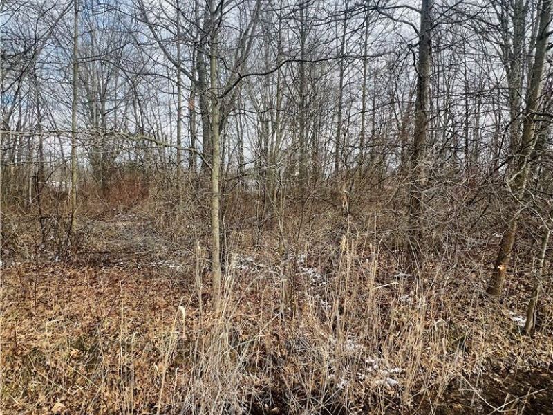 Lot 115 Breezewood Lane, Orwell, OH 44076 Photo 2
