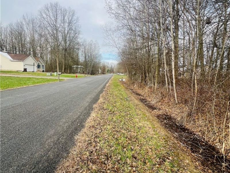 Lot 115 Breezewood Lane, Orwell, OH 44076 Photo 3