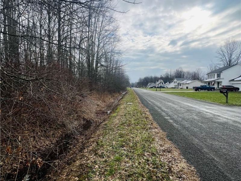 Lot 115 Breezewood Lane, Orwell, OH 44076 Photo 4