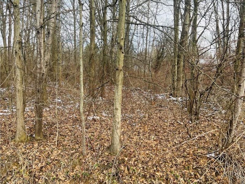 Lot 115 Breezewood Lane, Orwell, OH 44076 Photo 5