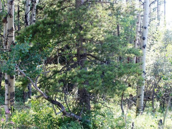 Lot 028 Sunflower Lane, Black Hawk, CO 80422