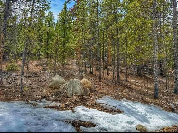 66 Mount Massive Road, Twin Lakes, CO 81251