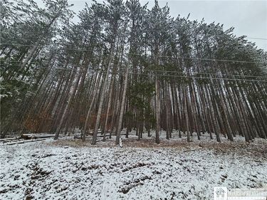 Butternut Brook Road, Portville, NY 14770