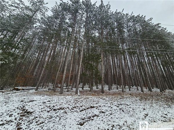 Butternut Brook Road, Portville, NY 14770