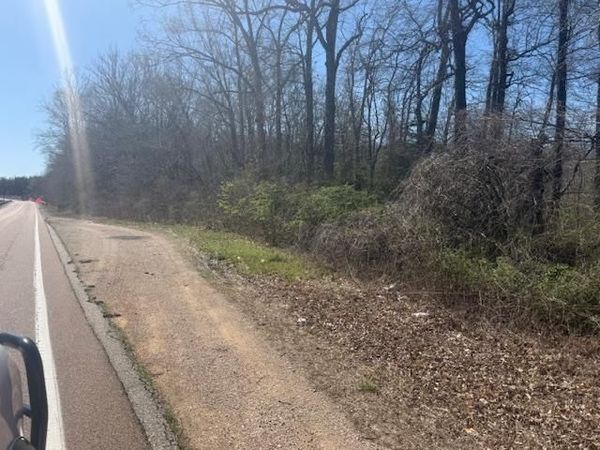 TRACT 8 HWY 22A HWY, Jacks Creek, TN 38347