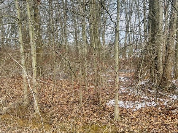 Lot 113 Breezewood Lane, Orwell, OH 44076