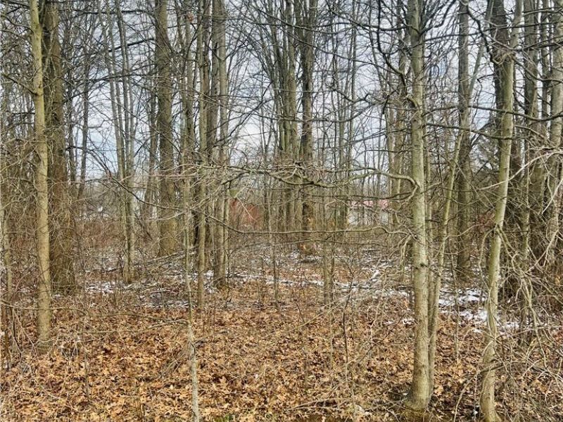 Lot 113 Breezewood Lane, Orwell, OH 44076 Photo 2