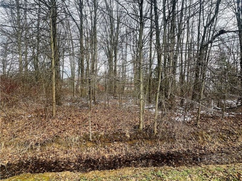 Lot 113 Breezewood Lane, Orwell, OH 44076 Photo 3