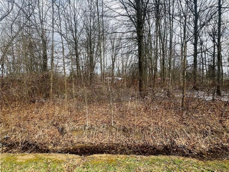 Lot 113 Breezewood Lane, Orwell, OH 44076 Photo 4
