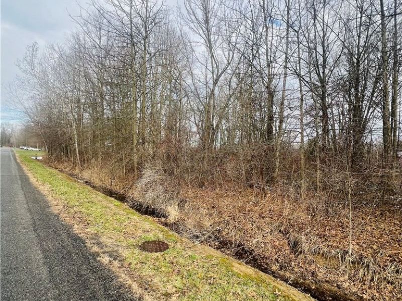 Lot 113 Breezewood Lane, Orwell, OH 44076 Photo 5