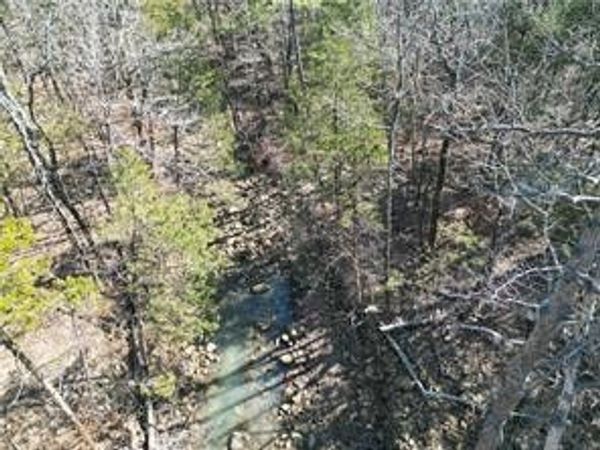 TBD Pea Ridge Road , Havana, AR 72842