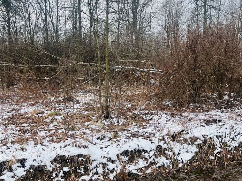 Lot 134 Breezewood Lane, Orwell, OH 44076 Photo 2