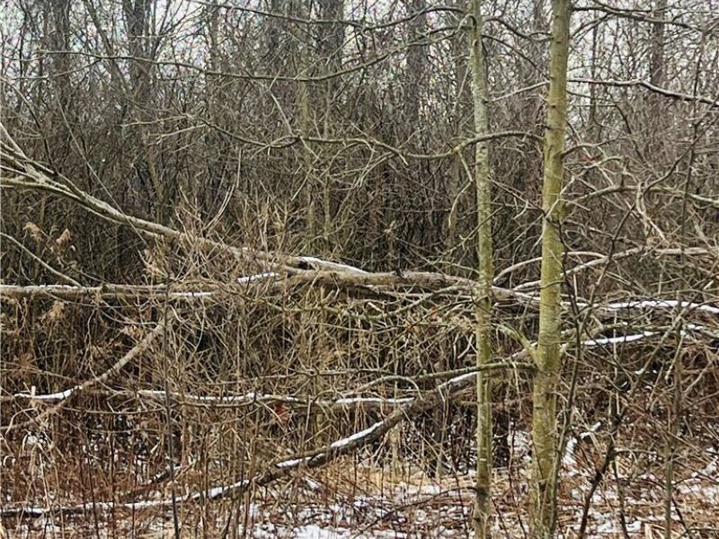 Lot 134 Breezewood Lane, Orwell, OH 44076 Photo 3