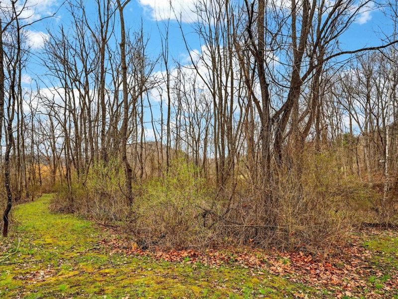 32263 Cedar Lane, Logan, OH 43138 Photo 62