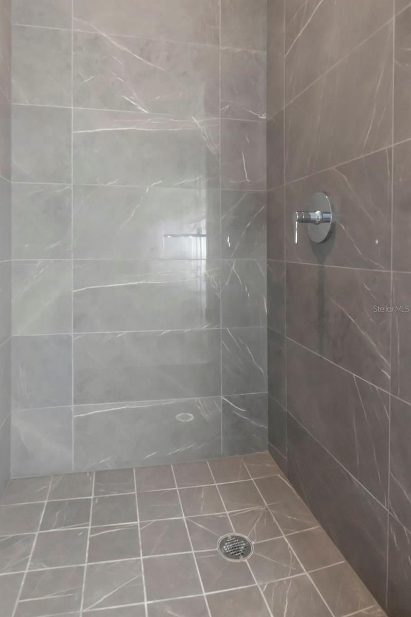3015 S Ysabella Avenue, Unit 2603, Tampa, FL 33629 Photo