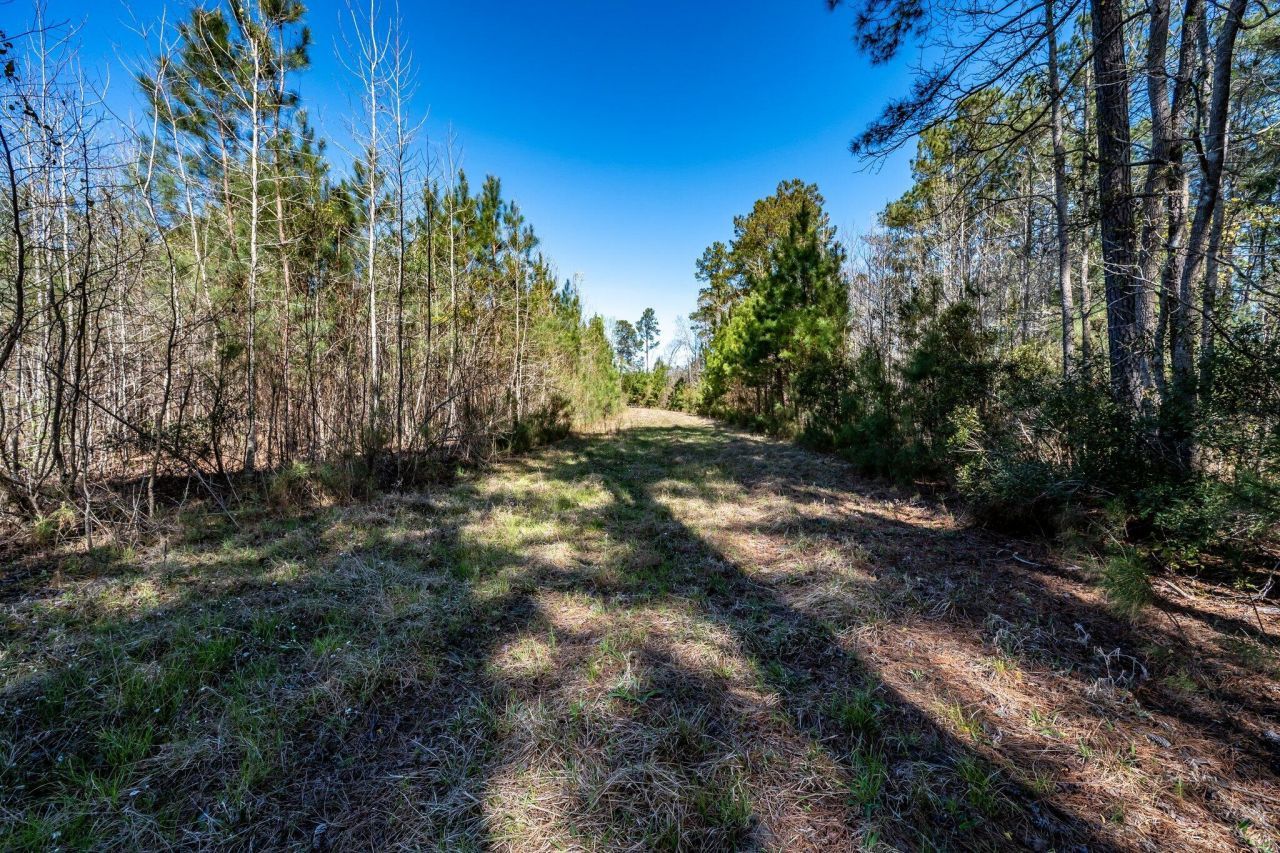 Tbd Buckhead Road Photo 4