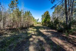 Tbd Buckhead Road photo 4