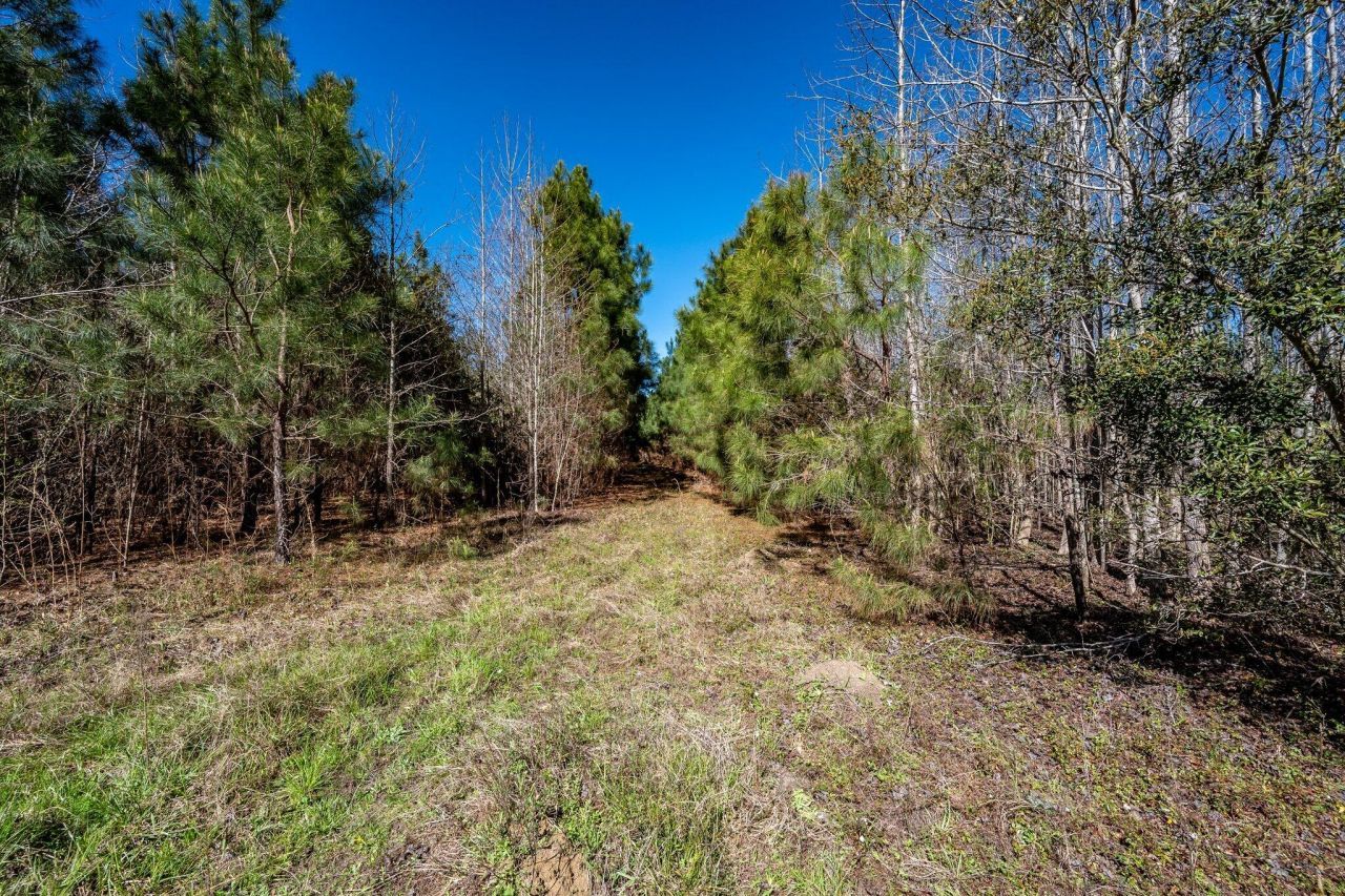 Tbd Buckhead Road Photo 5