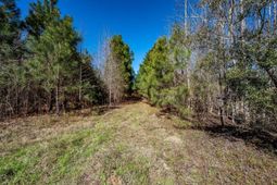 Tbd Buckhead Road photo 4