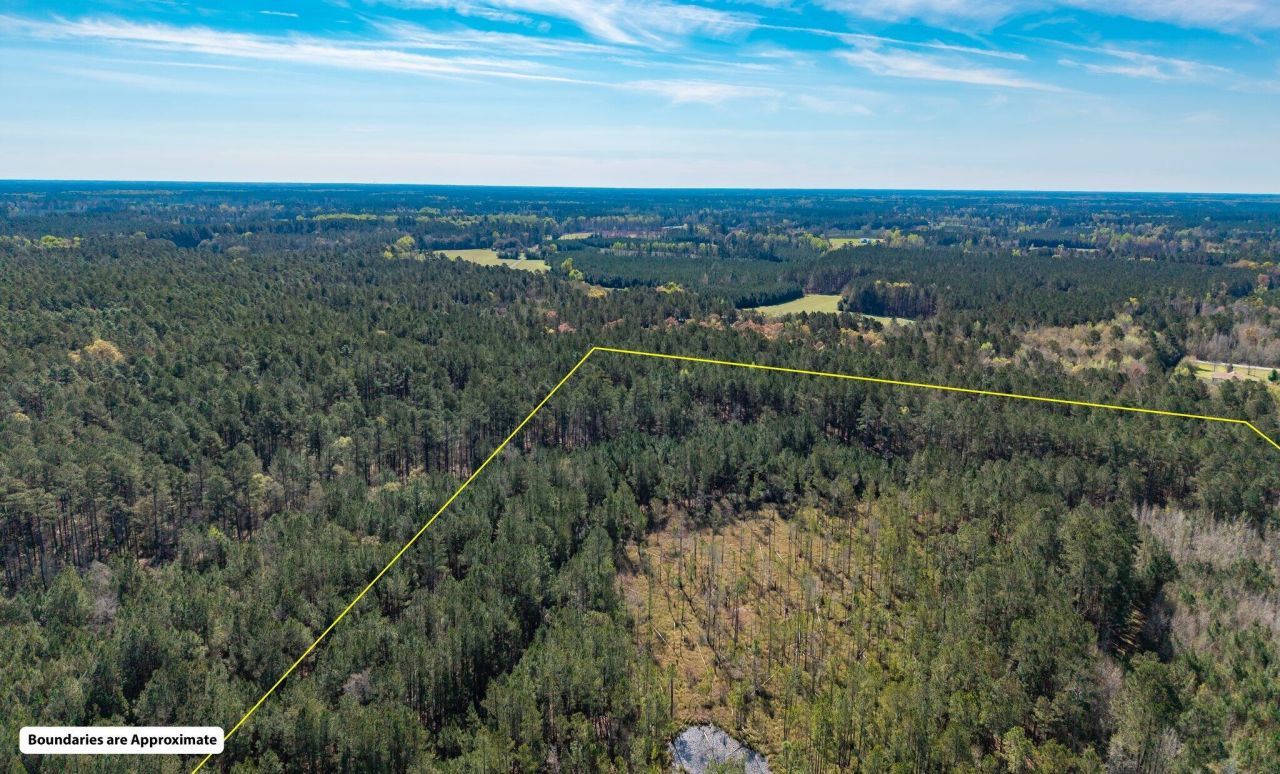 Tbd Buckhead Road Photo 6