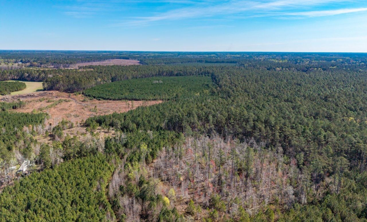 Tbd Buckhead Road Photo 7