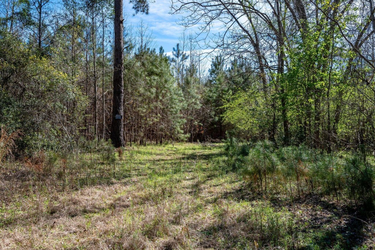 Tbd Buckhead Road Photo 8