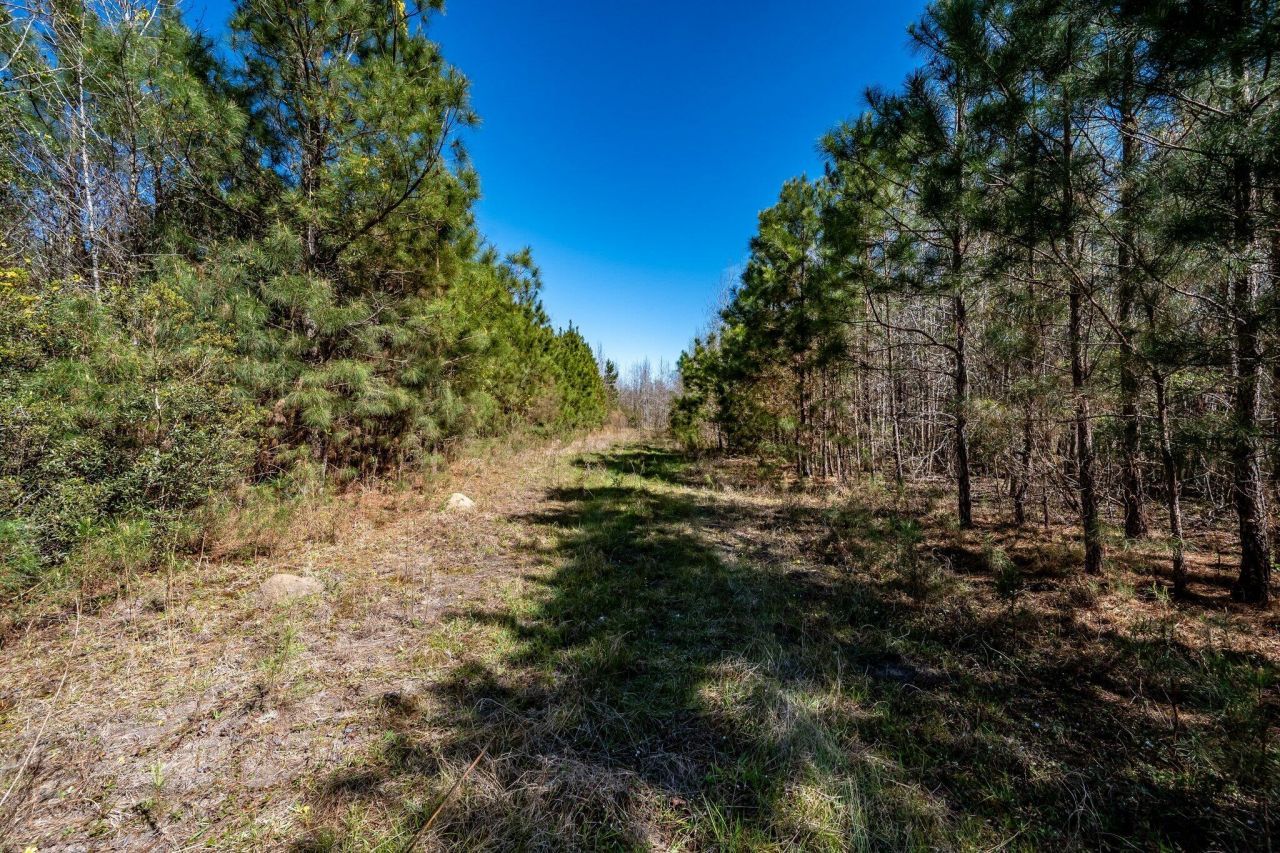 Tbd Buckhead Road Photo 9