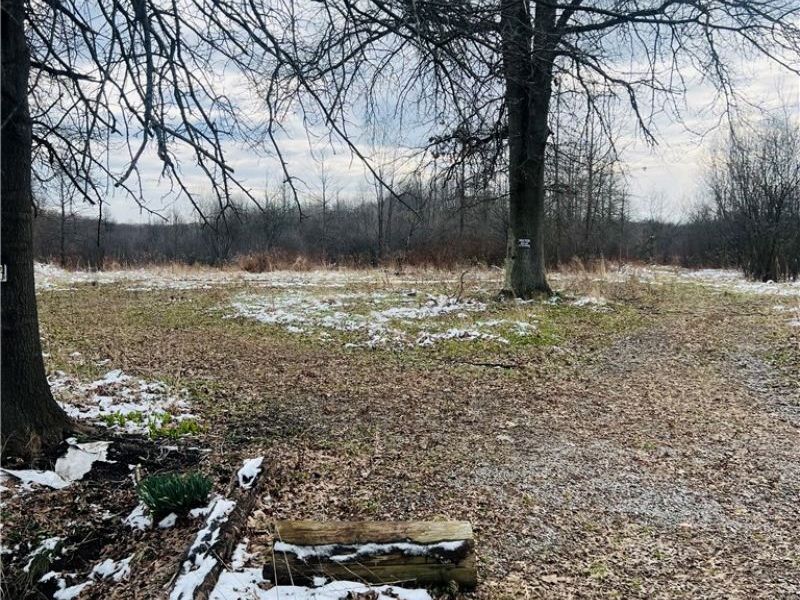 8670 Fortney Road, Orwell, OH 44076 Photo 1