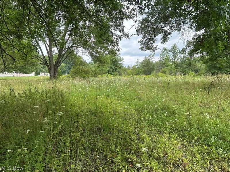 8670 Fortney Road, Orwell, OH 44076 Photo 1