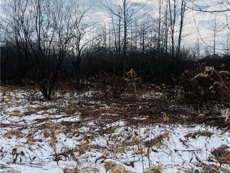 8670 Fortney Road, Orwell, OH 44076 Photo 10