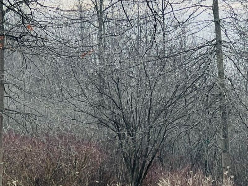 8670 Fortney Road, Orwell, OH 44076 Photo 12