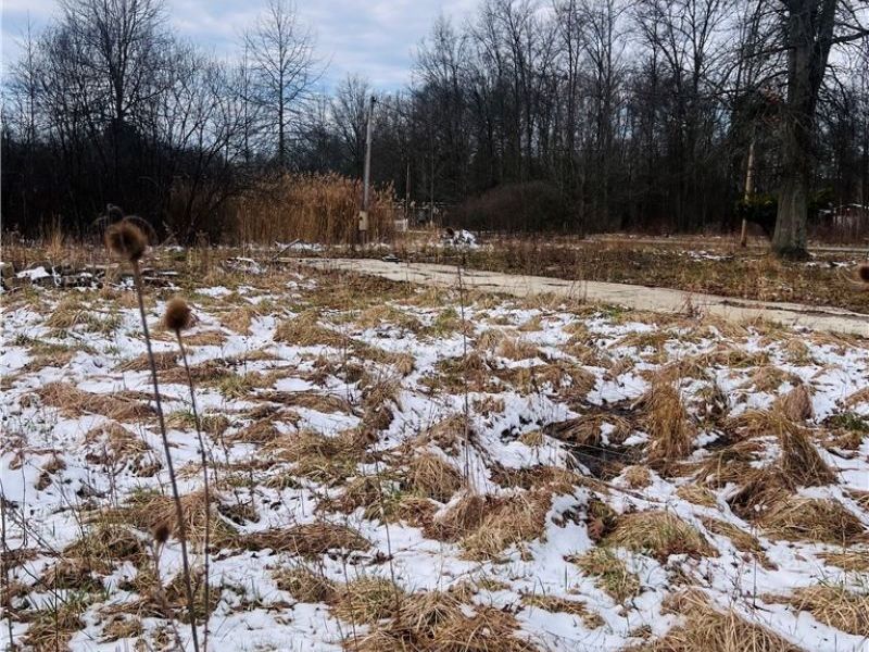 8670 Fortney Road, Orwell, OH 44076 Photo 2