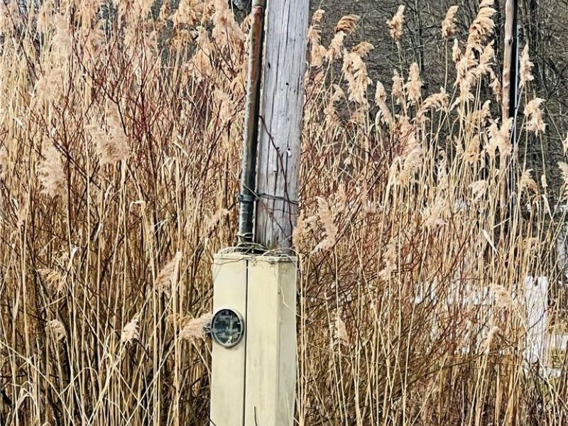 8670 Fortney Road, Orwell, OH 44076 Photo 21