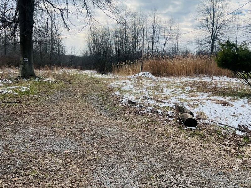 8670 Fortney Road, Orwell, OH 44076 Photo 3