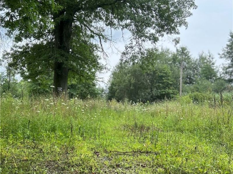 8670 Fortney Road, Orwell, OH 44076 Photo 3