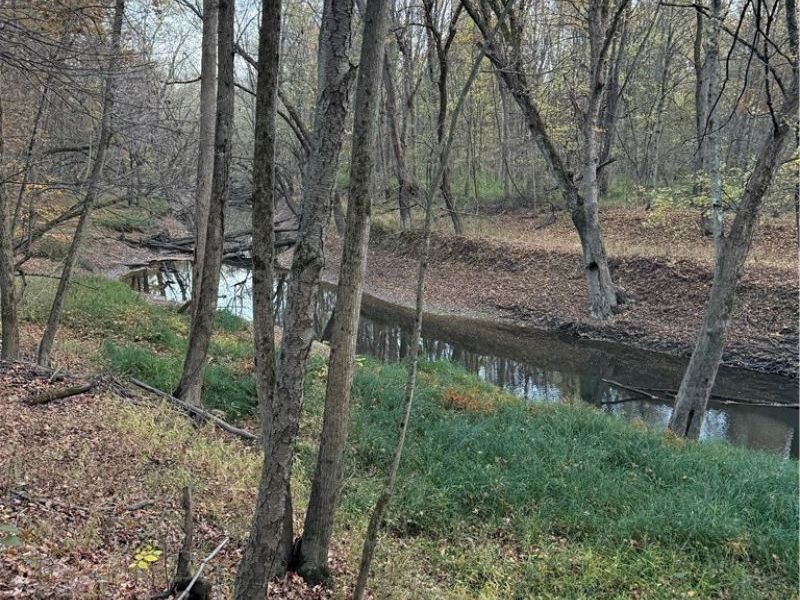 8670 Fortney Road, Orwell, OH 44076 Photo 6