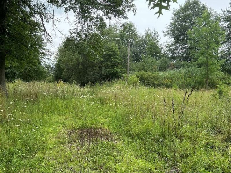 8670 Fortney Road, Orwell, OH 44076 Photo 6