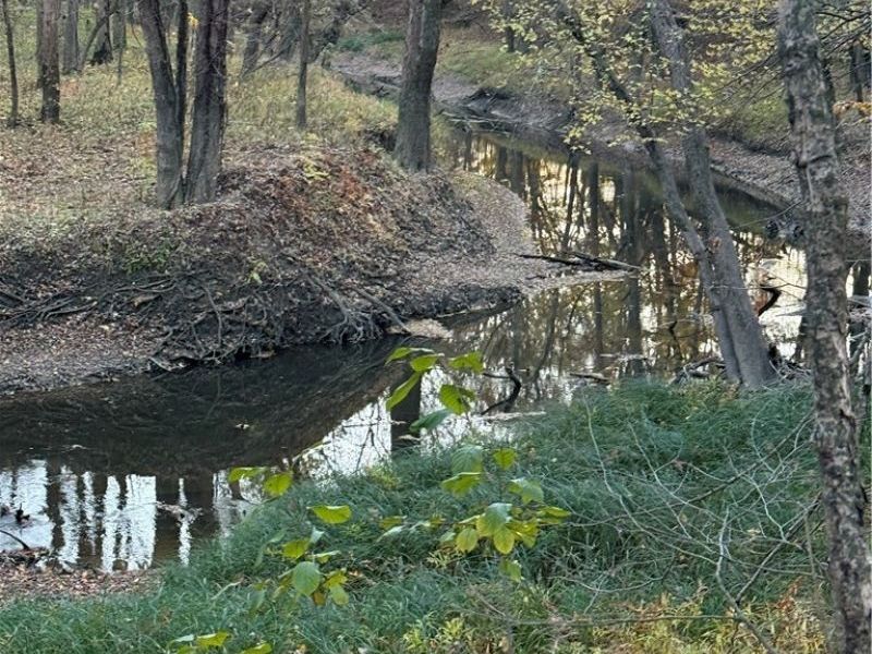 8670 Fortney Road, Orwell, OH 44076 Photo 8