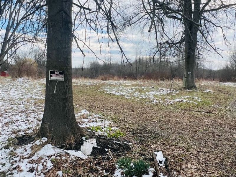 8670 Fortney Road, Orwell, OH 44076 Photo 9