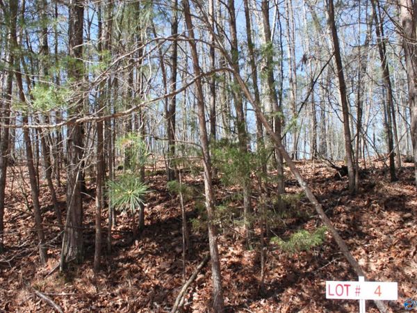 Lot 4 Hickory Lane, Fort Payne, AL 35989