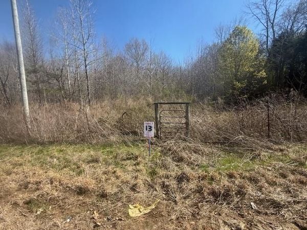 TRACT 13 HWY 22A HWY, Jacks Creek, TN 38347