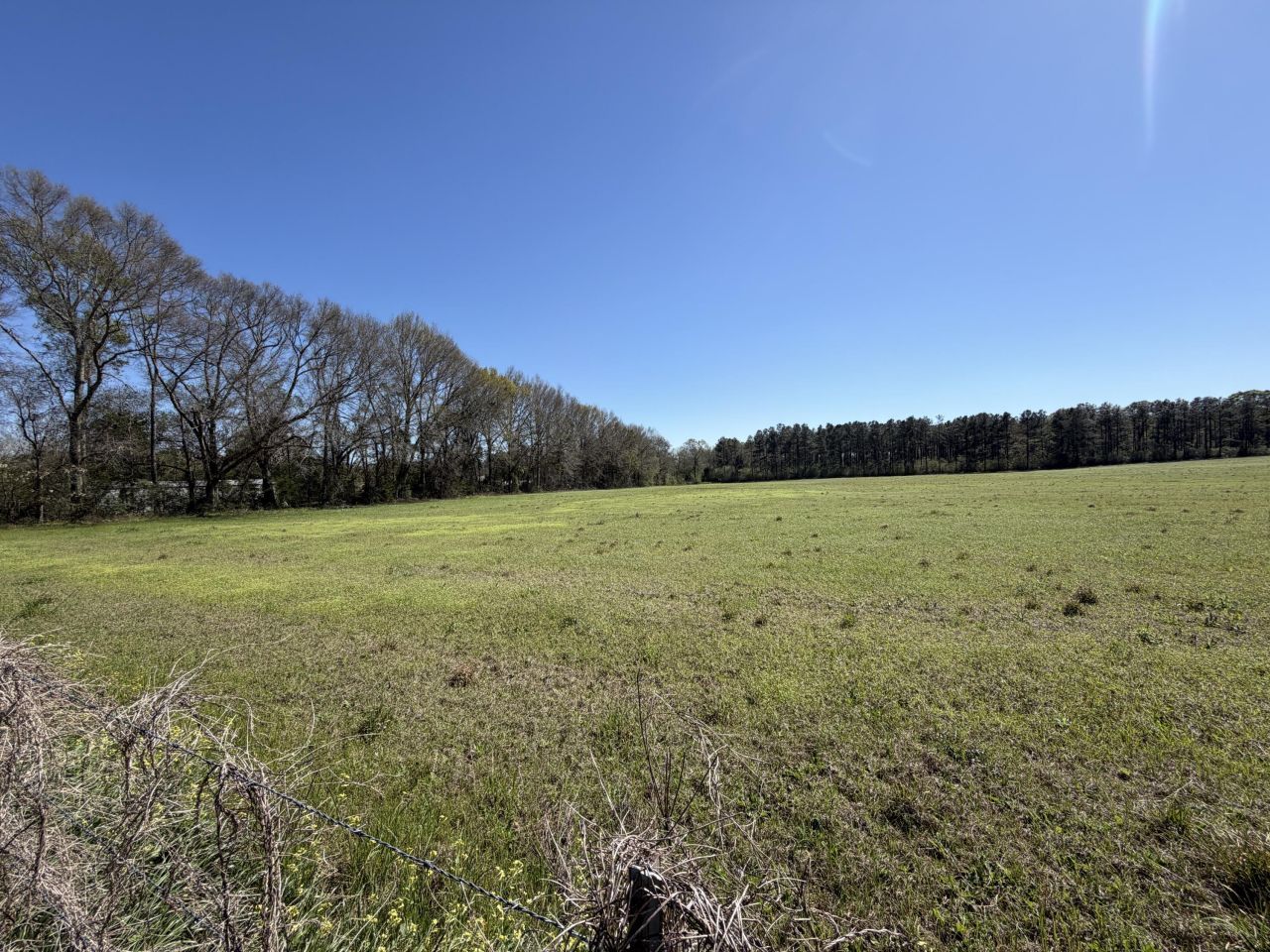 11.32 Acre Magnolia Rd, Perkinston, MS 39573 Main Photo