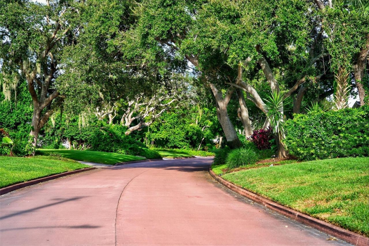 1835 Serpentine Drive S, Saint Petersburg, FL 33712 Photo