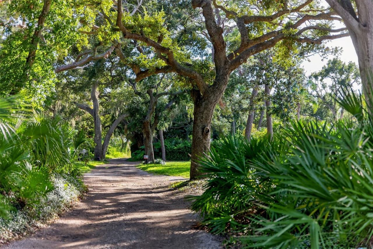 1835 Serpentine Drive S, Saint Petersburg, FL 33712 Photo