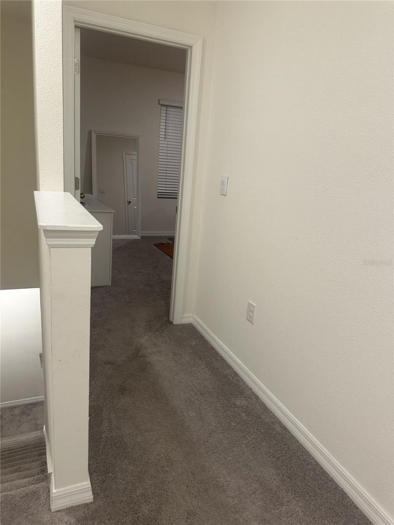 34276 Redwood Dawn Lane, Wesley Chapel, FL 33543 Photo