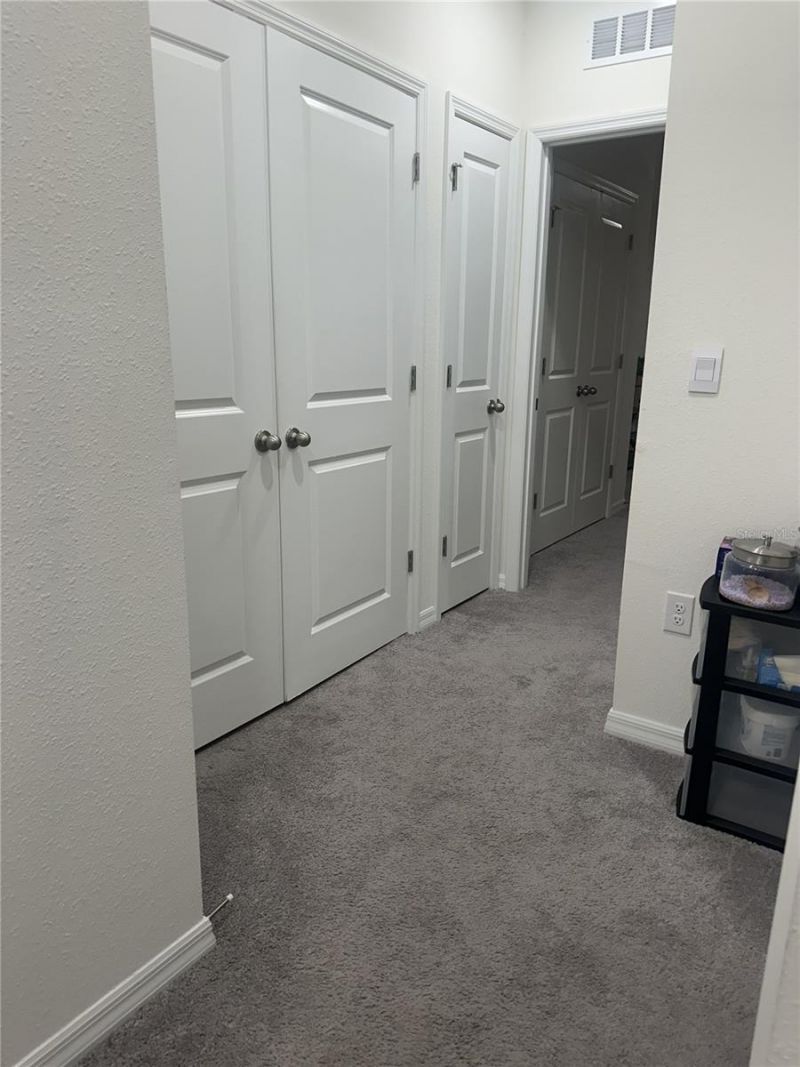 34276 Redwood Dawn Lane, Wesley Chapel, FL 33543 Photo